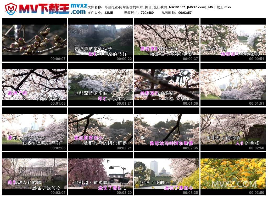 乌兰托亚-阿尔斯楞的眼睛_国语_流行歌曲_MA101337